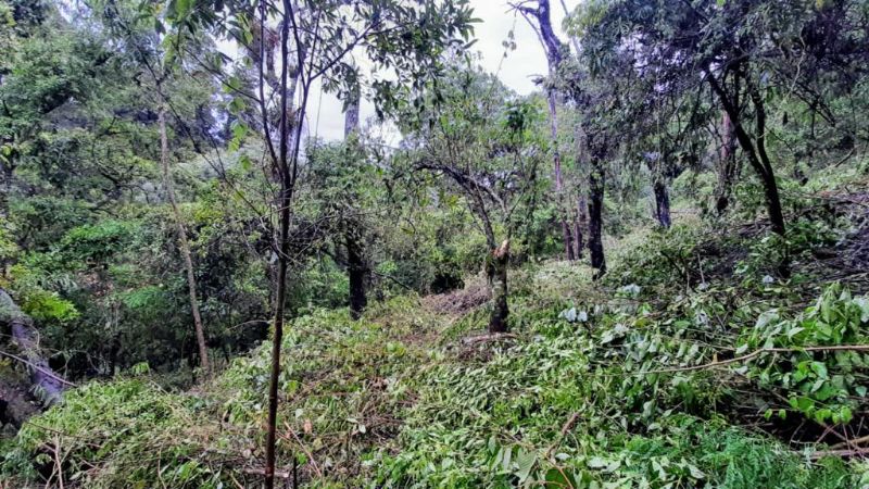 Venta de Terreno en El Encinal Tronco 8 – Mixco Guate