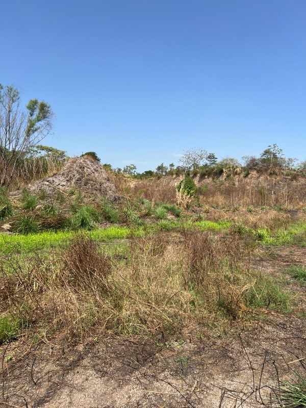 Autopista Palín - Escuintla km 67.5 - Miniatura 3