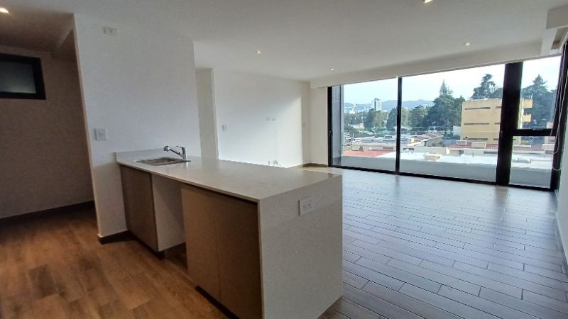 Apartamento en Renta en z15 parque 15