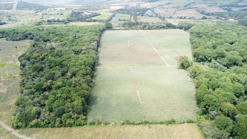 Citymax-Advance Vende Terreno/Finca de 250,000v² Plano a dos minutos de Carretera a El Salvador**