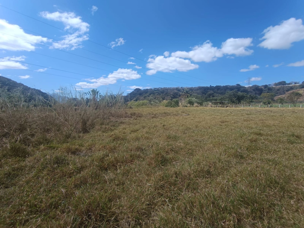 Terreno en venta •La Vas Km 5.5 Junto garita peaje