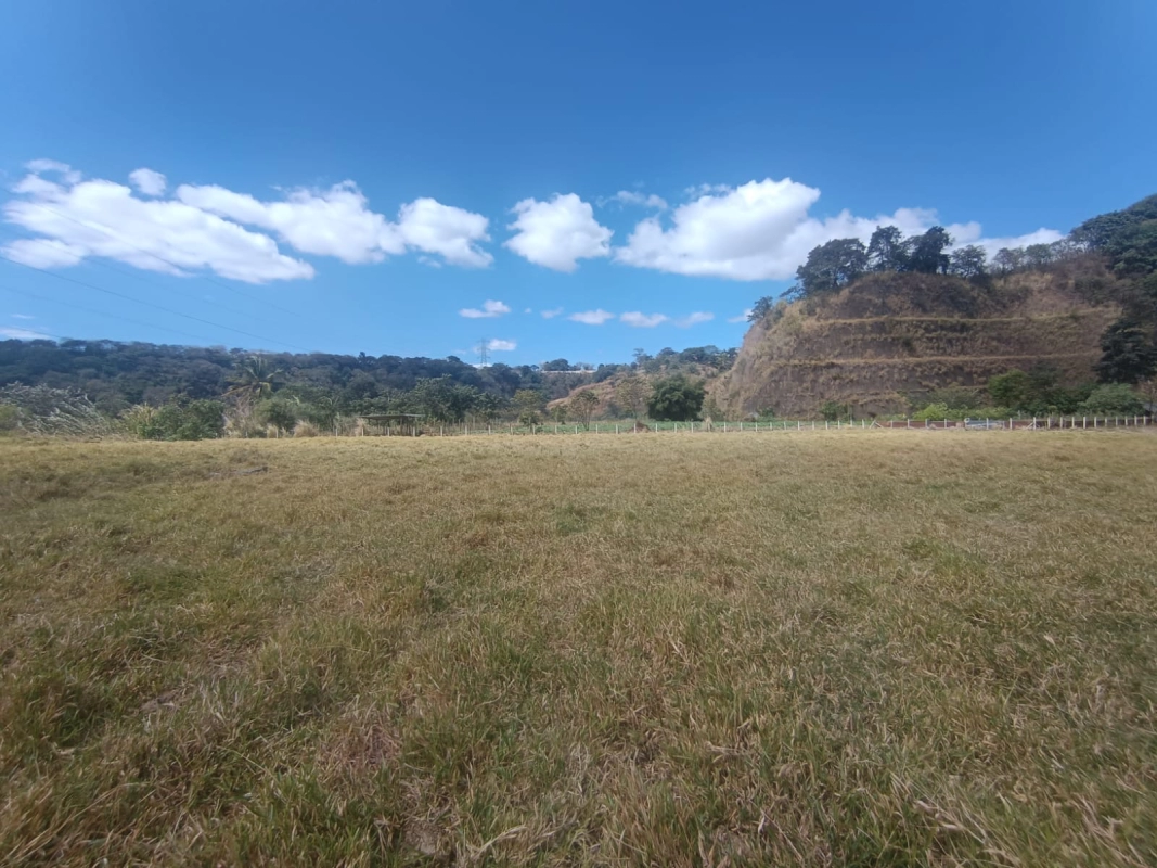 Terreno en venta •La Vas Km 5.5 Junto garita peaje