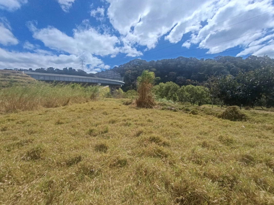 Terreno en venta •La Vas Km 5.5 Junto garita peaje