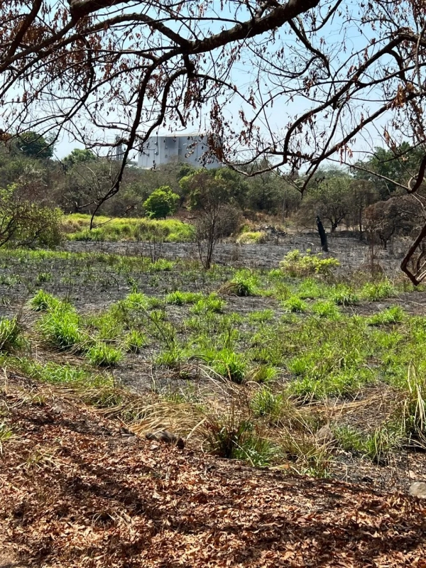 Autopista Puerto Quetzal km 80  11 manzanas en venta. - Miniatura 2