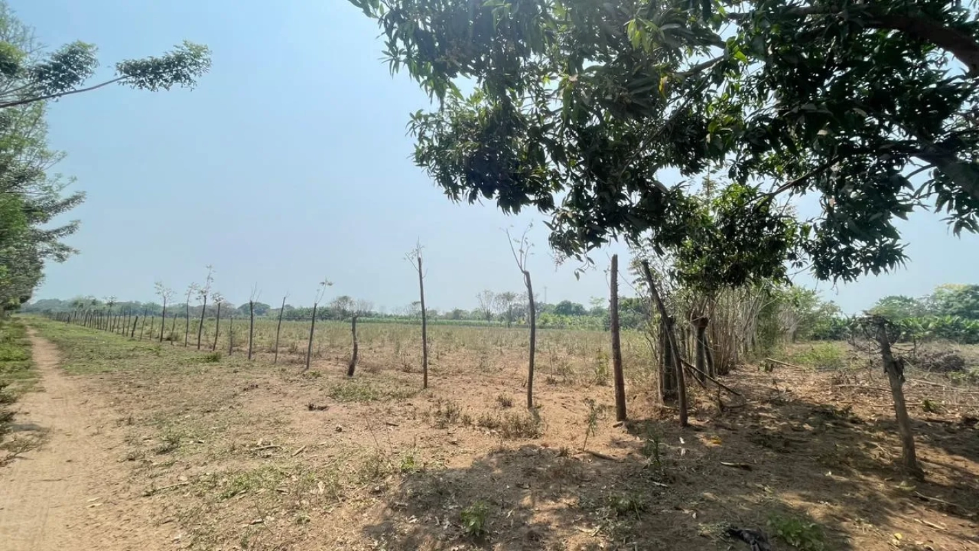 VENTA DE TERRENO EN CUYUTA MASAGUA ESCUINTLA - Miniatura 4