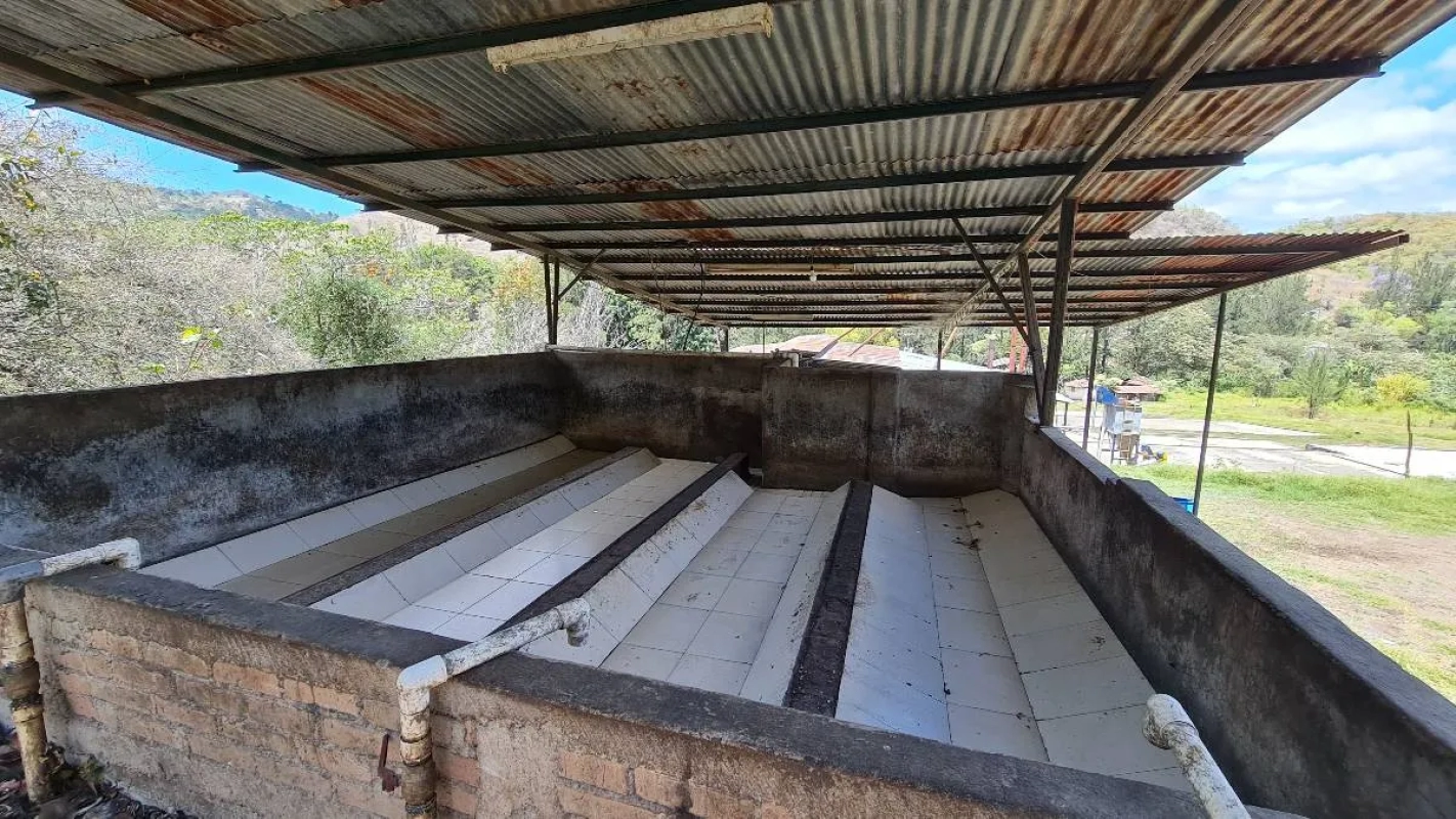 BENEFICIO DE CAFE EN VENTA EN JALAPA