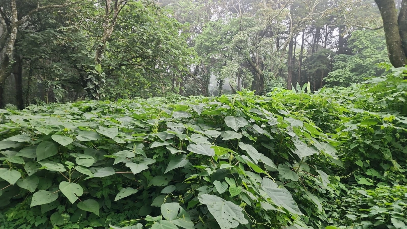 Terreno en venta en Premier Campestre km 23 carretera a El Salvador