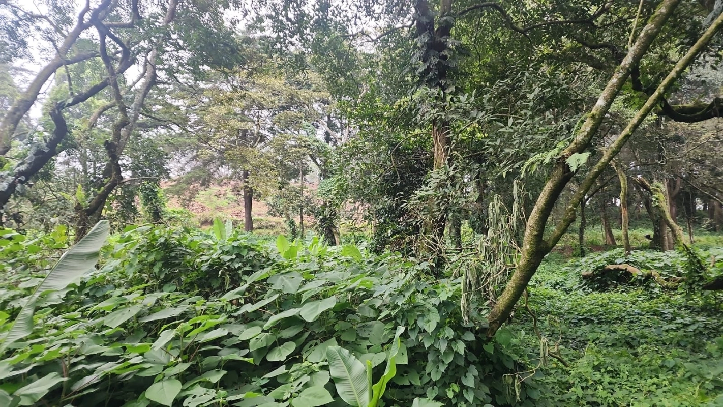 Terreno en venta en Premier Campestre km 23 carretera a El Salvador