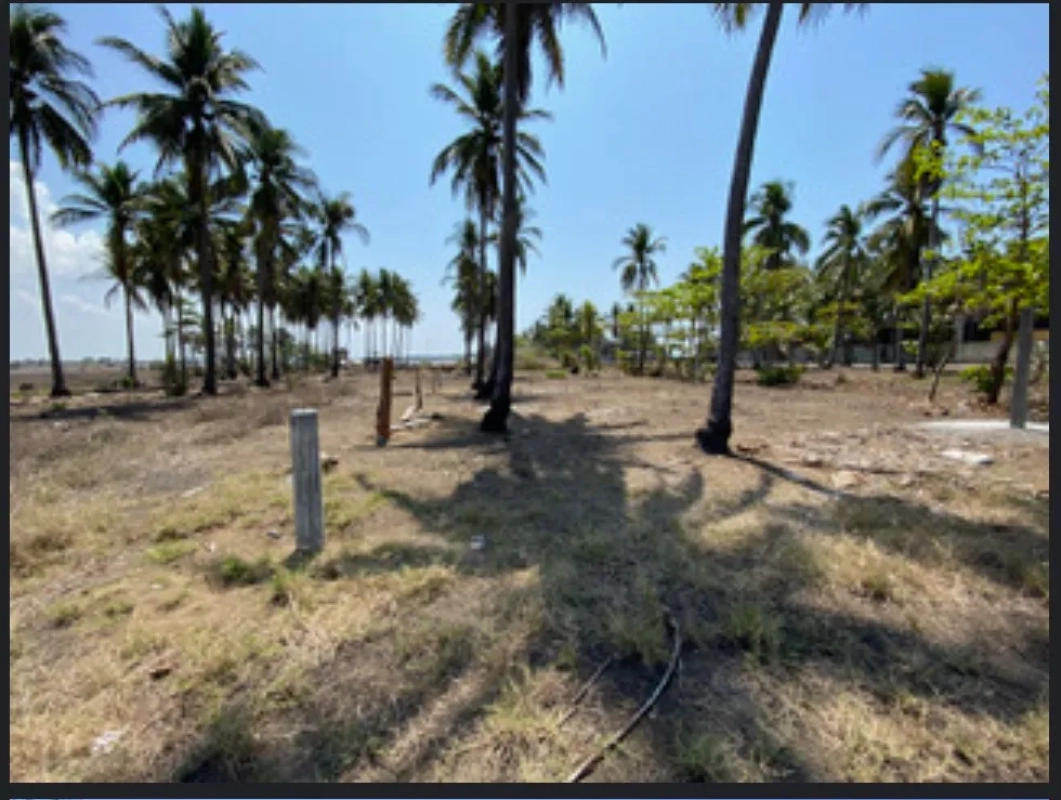 PLAYA SIPACATE VENTA TERRENO PLANO - Image 3