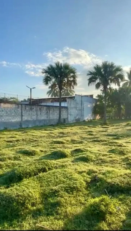 Terreno en sector Arizona, Escuintla