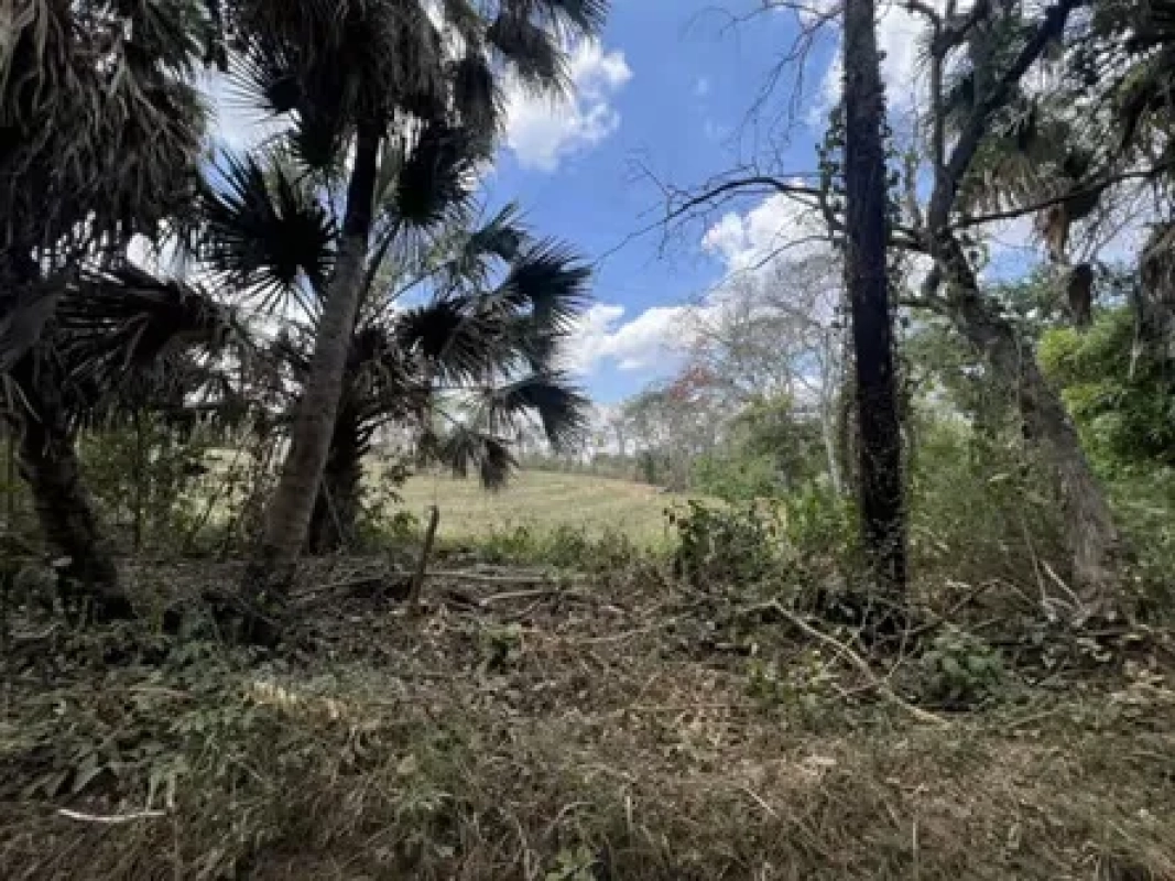 Vendo terreno en Escuintla frente a Carretera a Siquinala