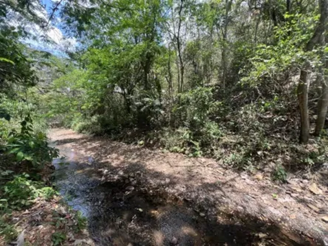 Vendo terreno en Escuintla frente a Carretera a Siquinala