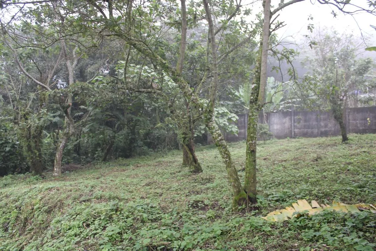 Terreno en Venta Santa María de Jesús, Quetzaltenango - Miniatura 11