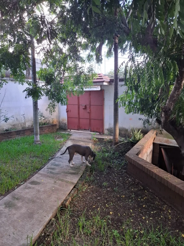 Property photo 13