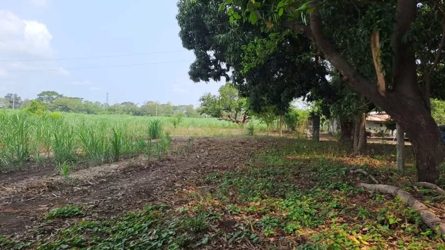 TERRENO EN VENTA EN ESCUINTLA, CODIGO 128_TV1