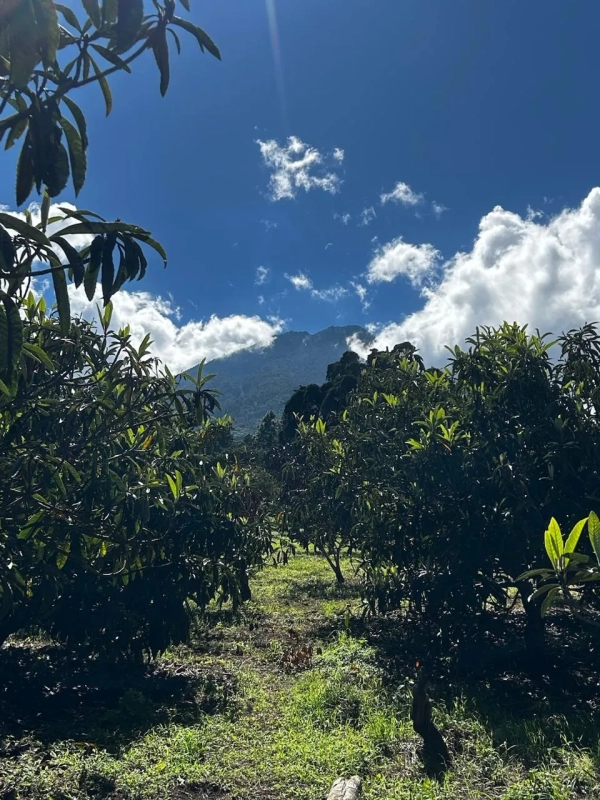 TERRENO EN VENTA SAN JUAN OBISPO / Antigua Guatemala