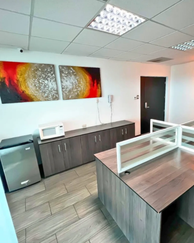 Oficina en Venta en Zona 15, Amueblada -Edificio Domani-