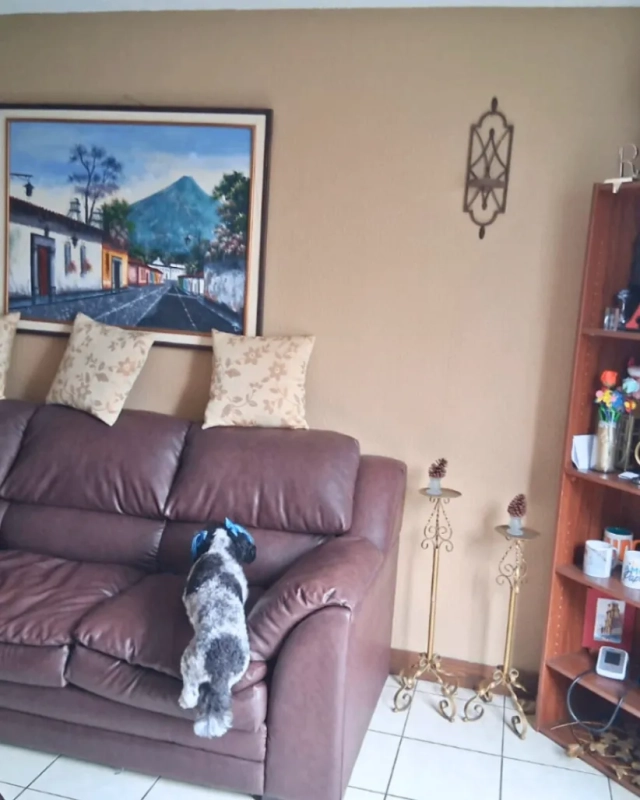 Casa en venta en Alamedas de Villa Flores