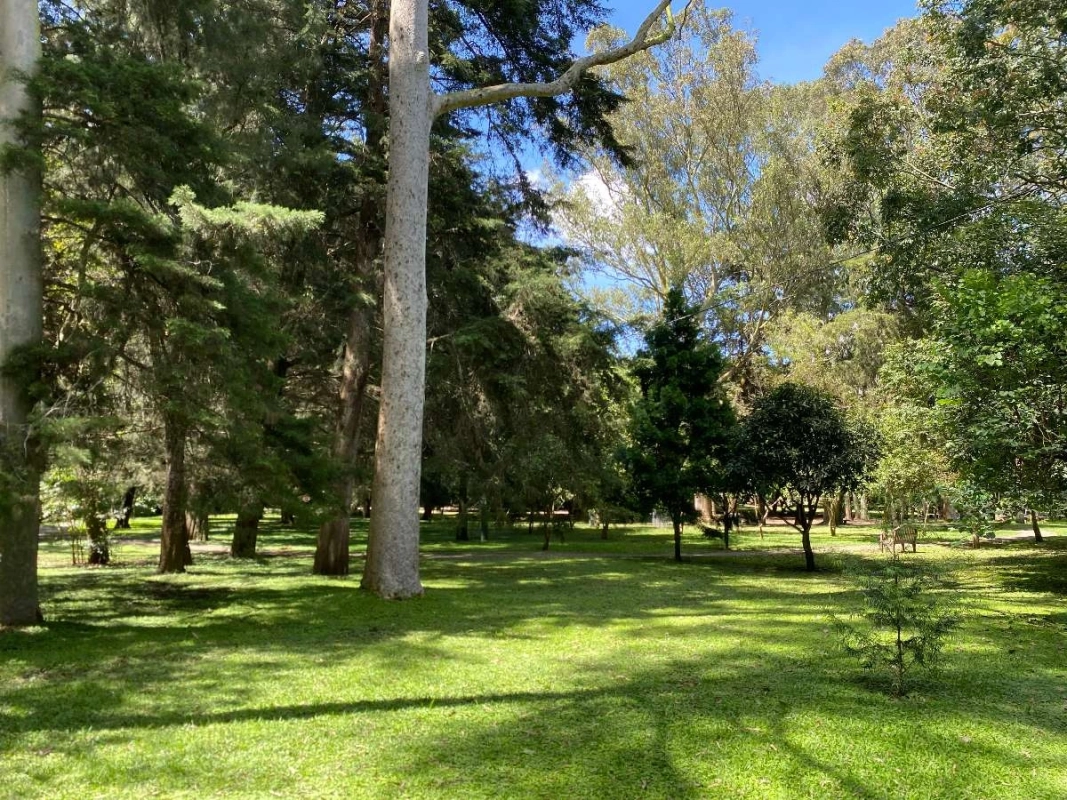Apartamento Venta | Zona 15 | Ikaria