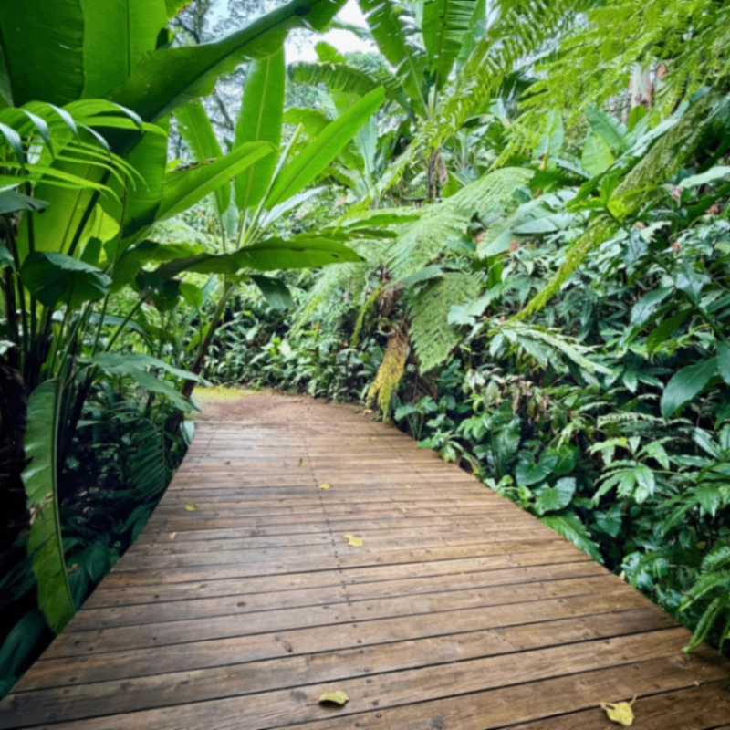 PRECIOSO terreno en EL ZUR en venta! - Miniatura 5