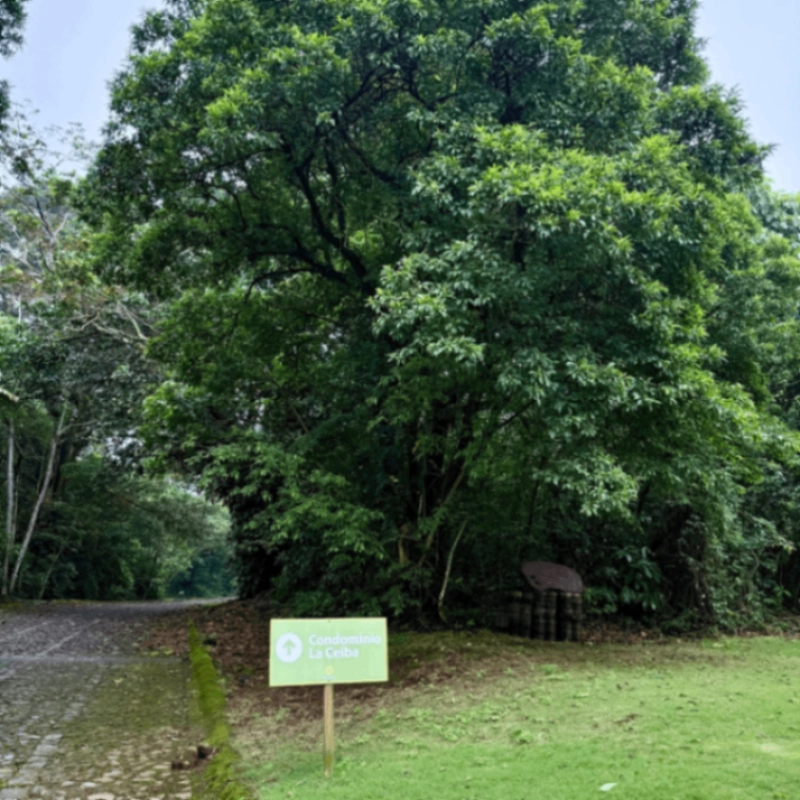 PRECIOSO terreno en EL ZUR en venta! - Miniatura 8