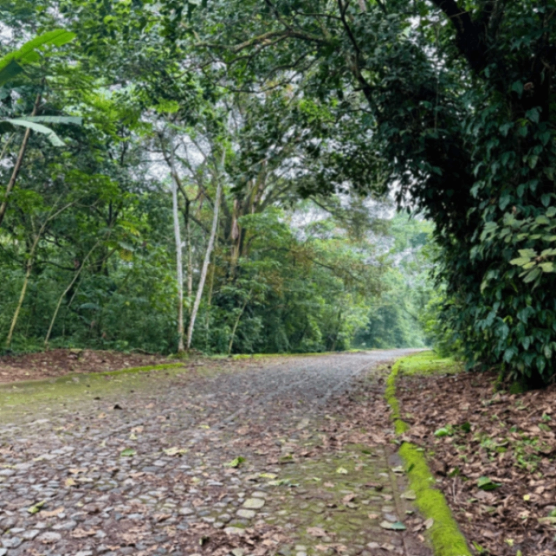 PRECIOSO terreno en EL ZUR en venta! - Miniatura 9