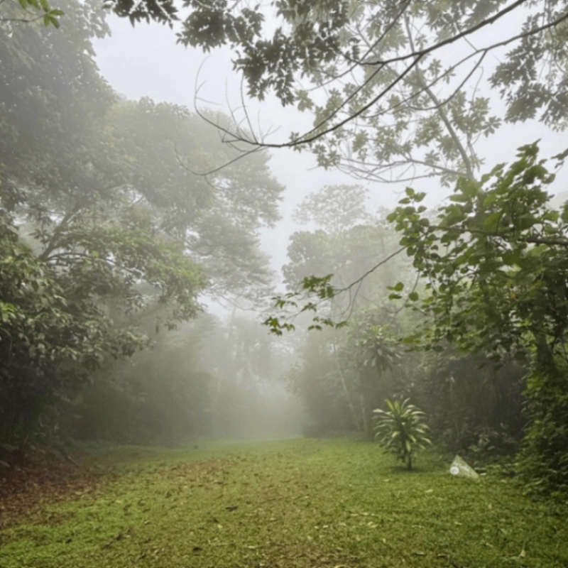 PRECIOSO terreno en EL ZUR en venta! - Miniatura 11