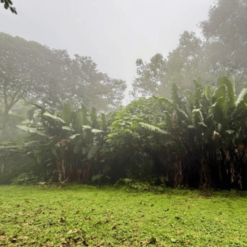 PRECIOSO terreno en EL ZUR en venta! - Miniatura 12