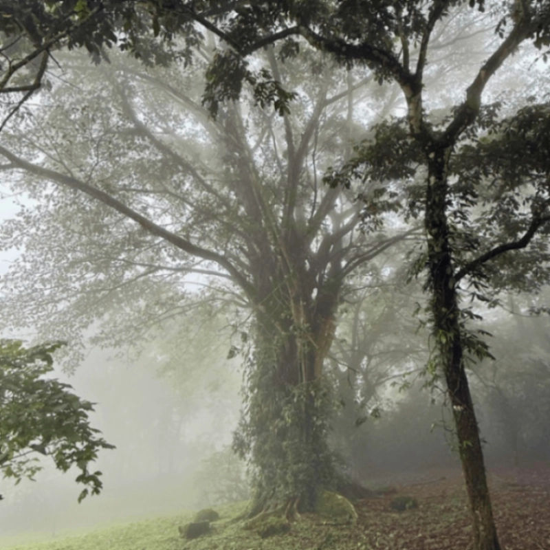 PRECIOSO terreno en EL ZUR en venta! - Miniatura 13