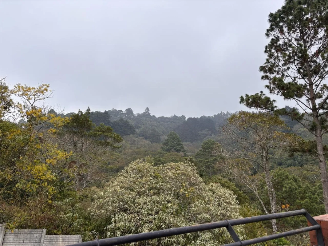 Casa en Renta km 18.5 Entrada a Olmeca CODIGO.CC35612