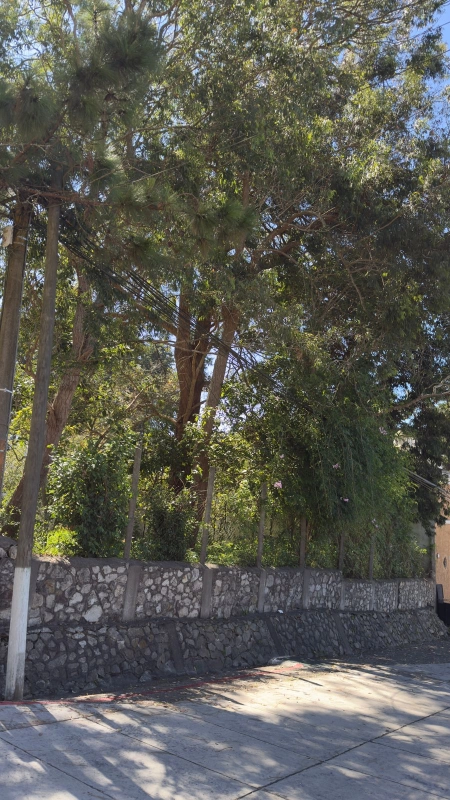 Nuevo Precio – Terreno en Venta en Arrazola Panorama, Km. 16.5 CES / EN DIRECTO