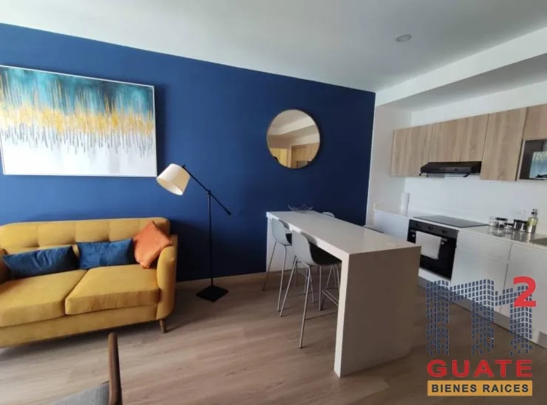 Apartamento en Renta, Zona 04