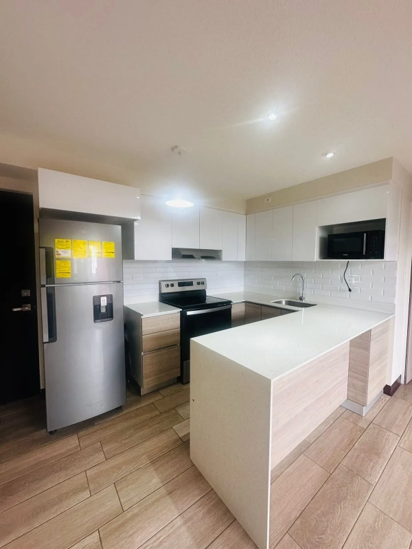 RENTA APARTAMENTO EN ZONA 11