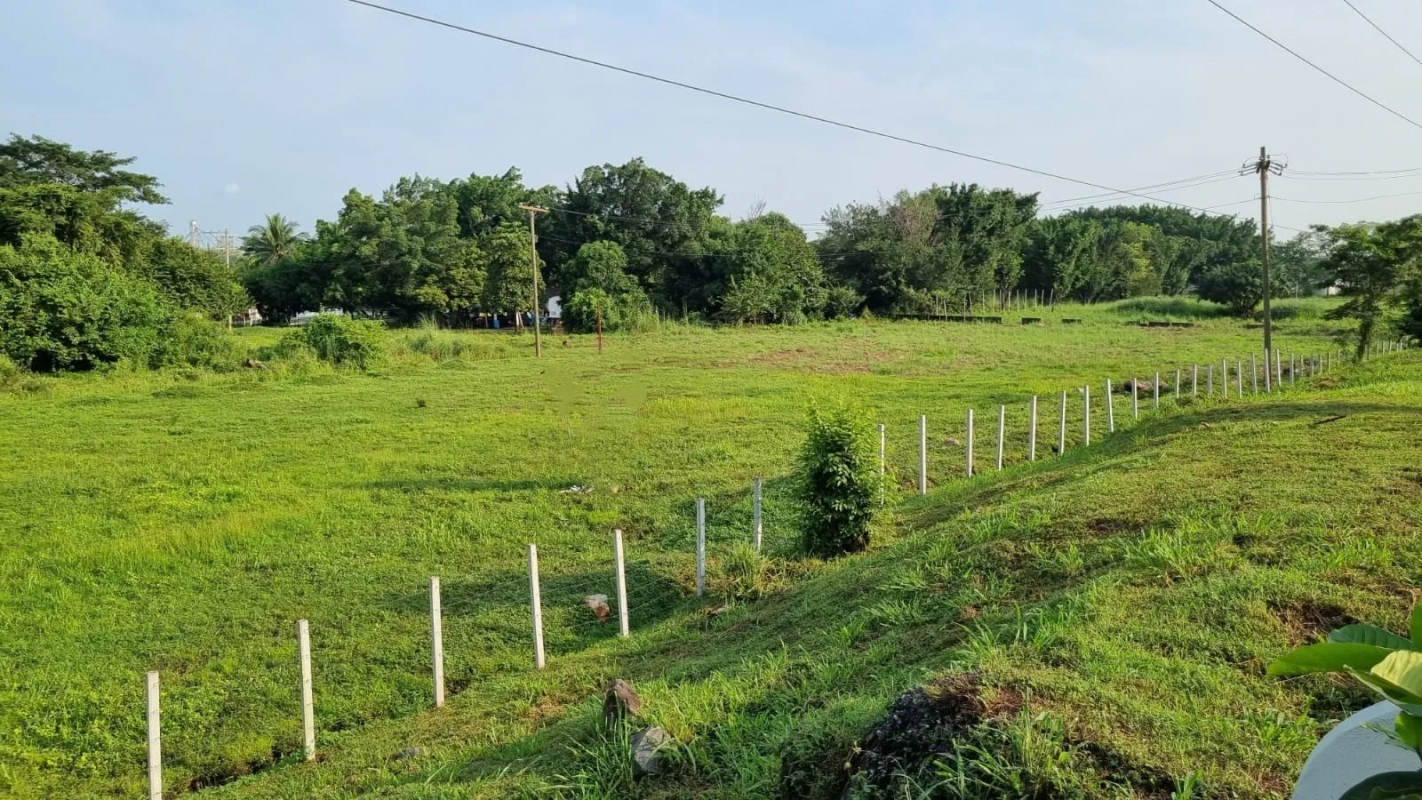 VENDO TERRENO AUTOPISTA PUERTO QUETZAL - Miniatura 7