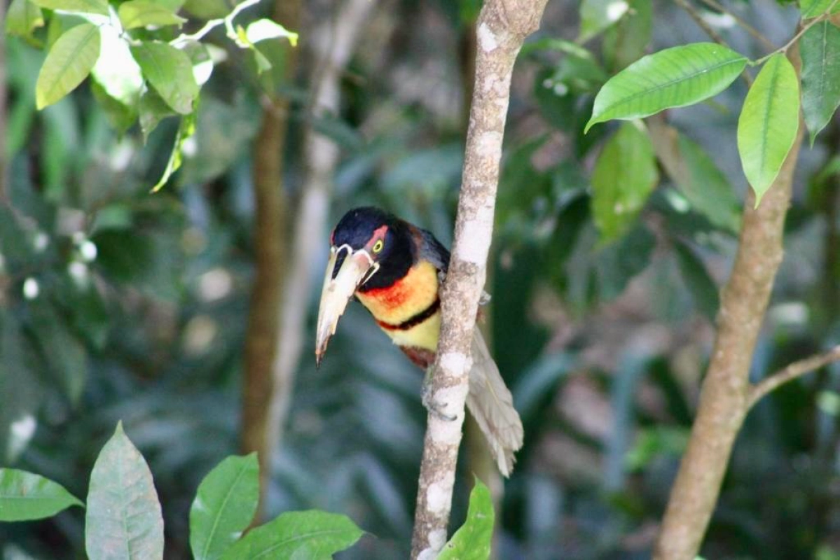 Hotel en venta en Peten