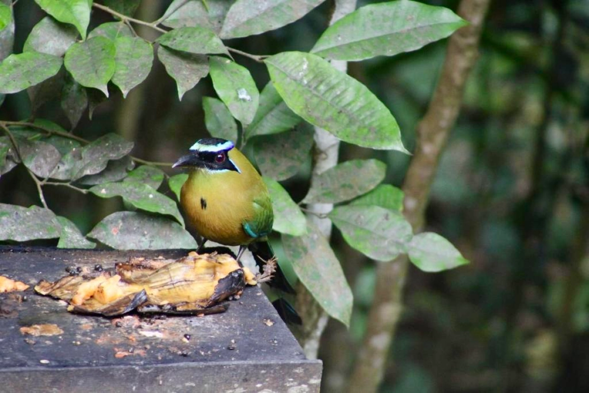 Hotel en venta en Peten
