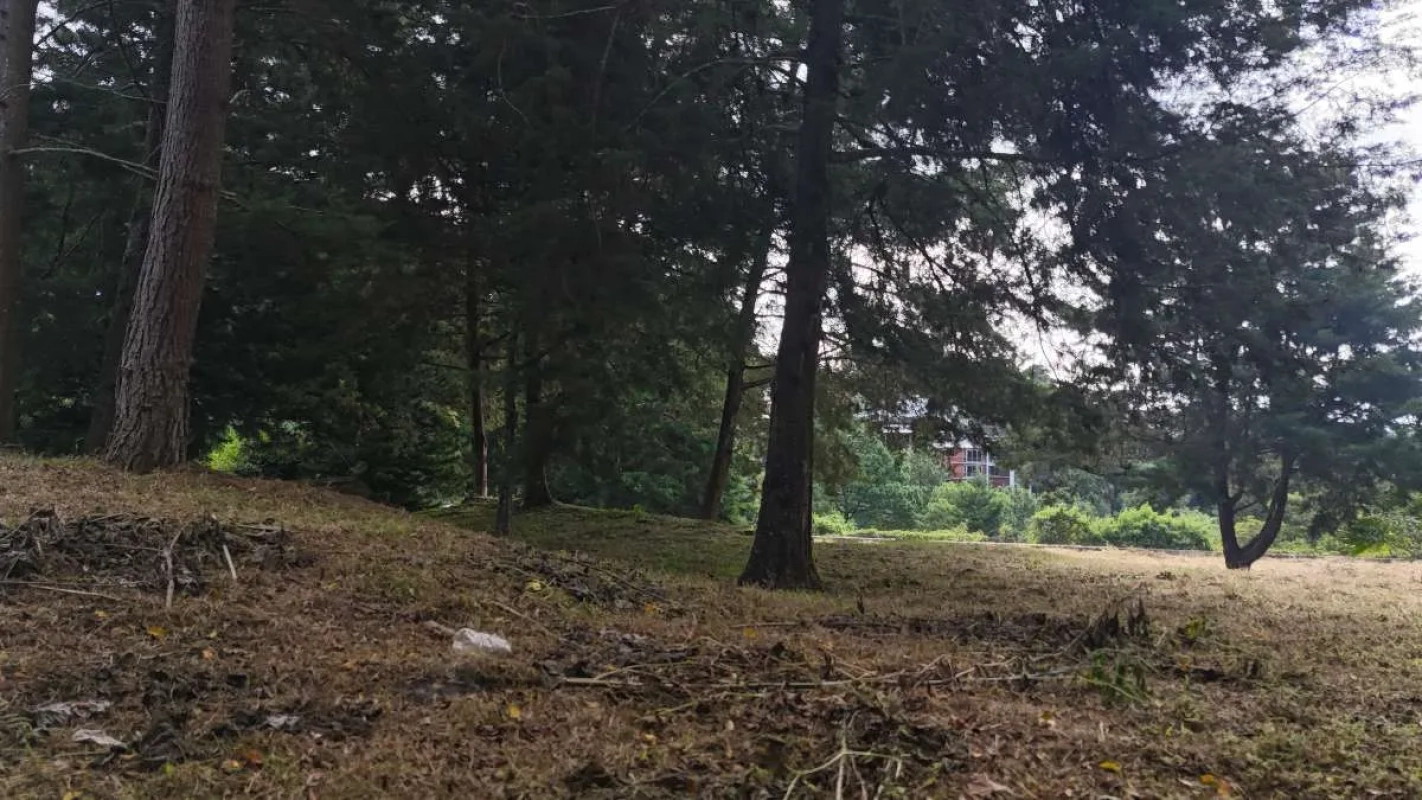 VENTA TERRENO CARRETERA A EL SALVADOR, KM.9 IDEAL PROYECTO CASAS