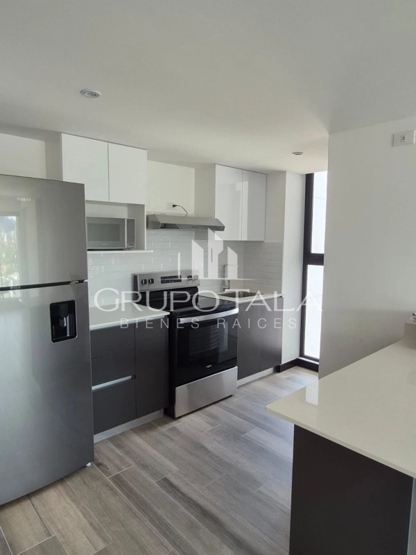 Apartamentos en renta, zona 10