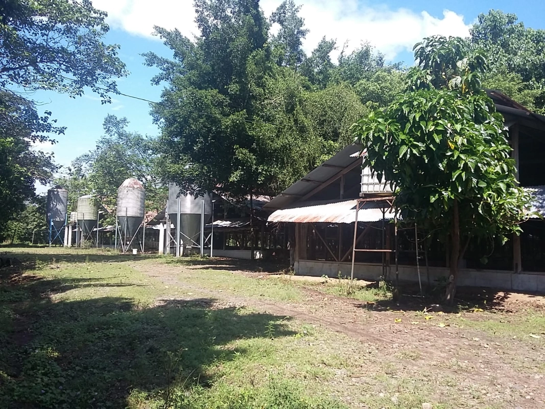 GRANJA EN VENTA ESCUINTLA