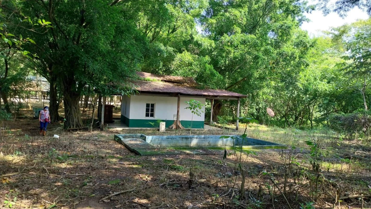 GRANJA EN VENTA ESCUINTLA - Miniatura 5