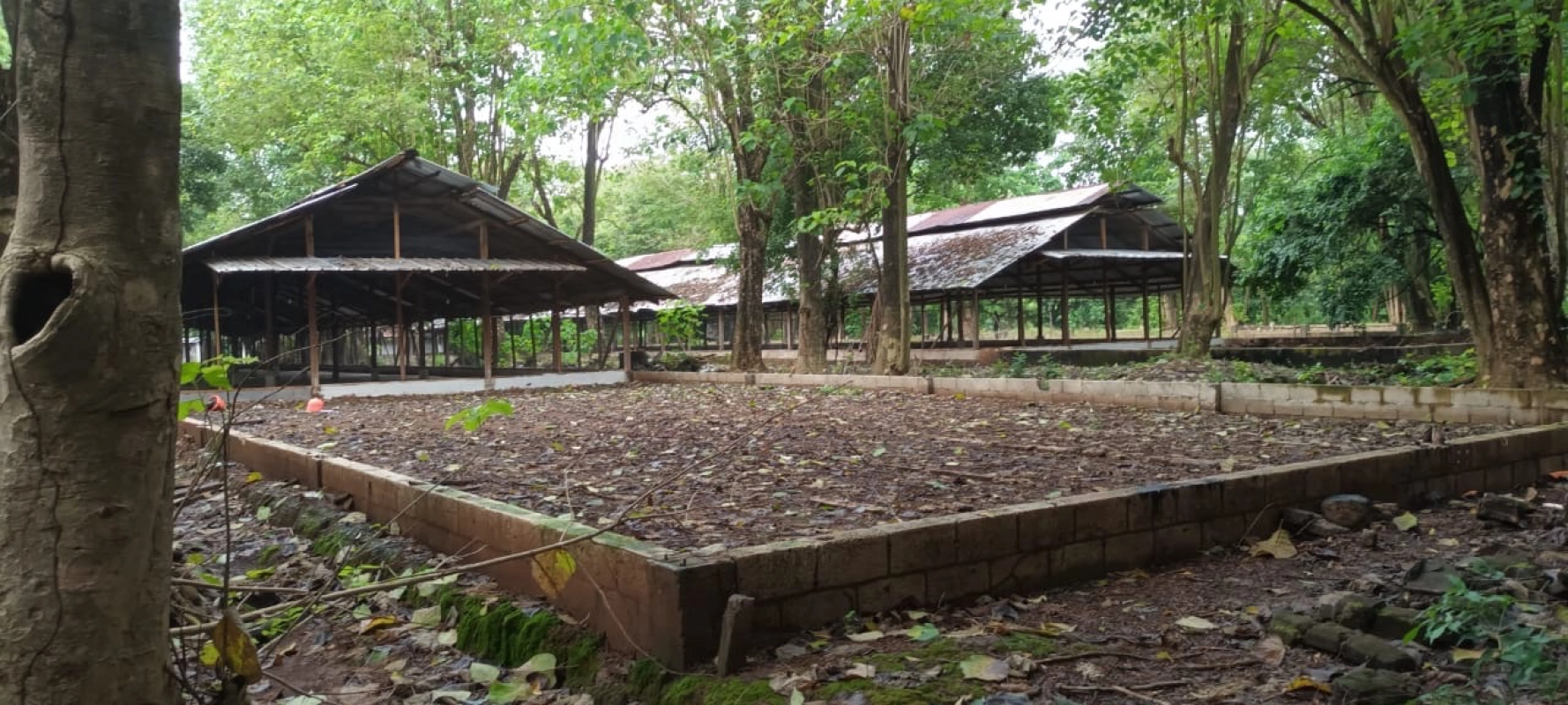 GRANJA EN VENTA ESCUINTLA - Miniatura 17