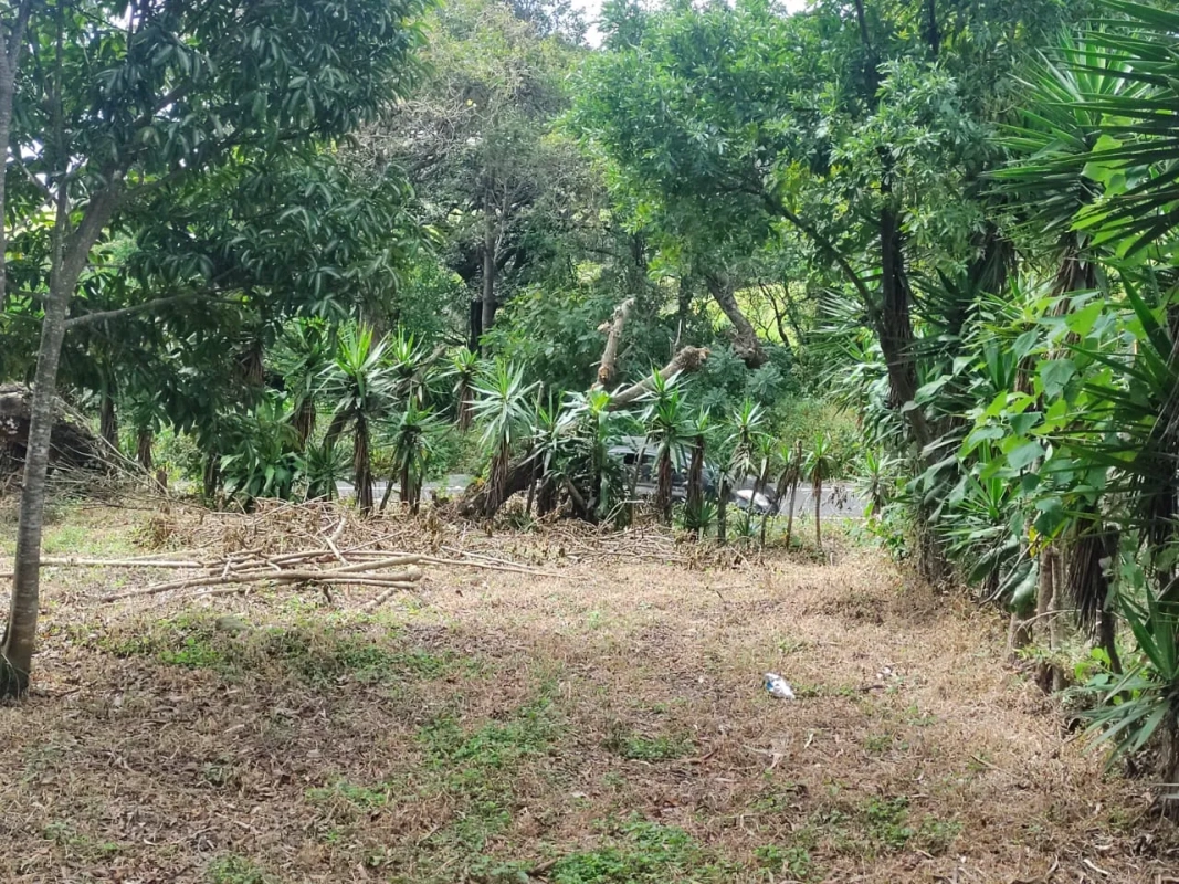 ???? ¡Gran oportunidad en Palín, Escuintla! ???? - Miniatura 8