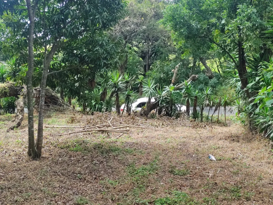 ???? ¡Gran oportunidad en Palín, Escuintla! ???? - Miniatura 9