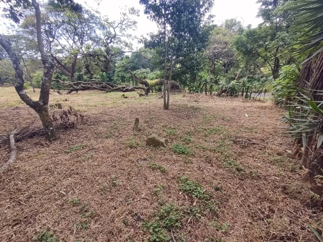 ???? ¡Gran oportunidad en Palín, Escuintla! ???? - Miniatura 11