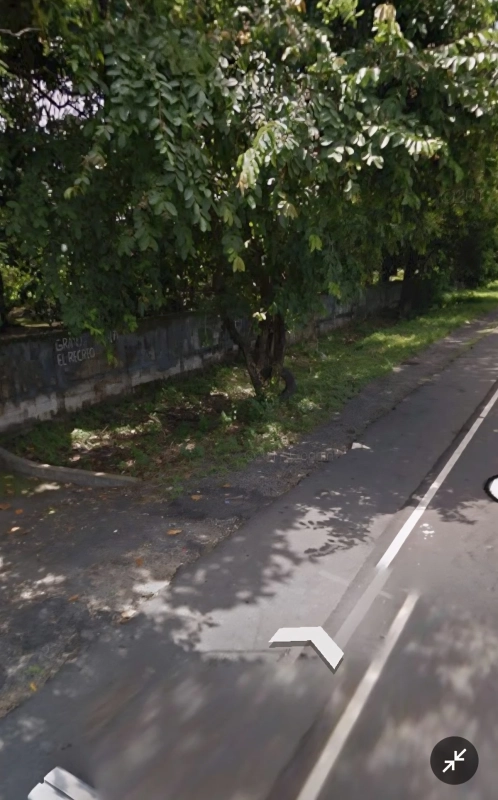 Granja en Venta a orilla De ruta principal a Escuintla - Image 2