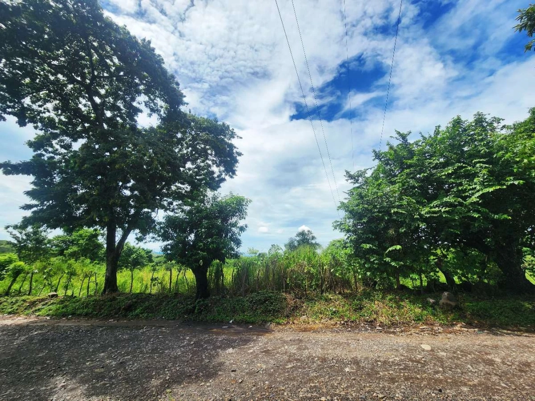 Terreno Venta | KM 61.5 | Escuintla