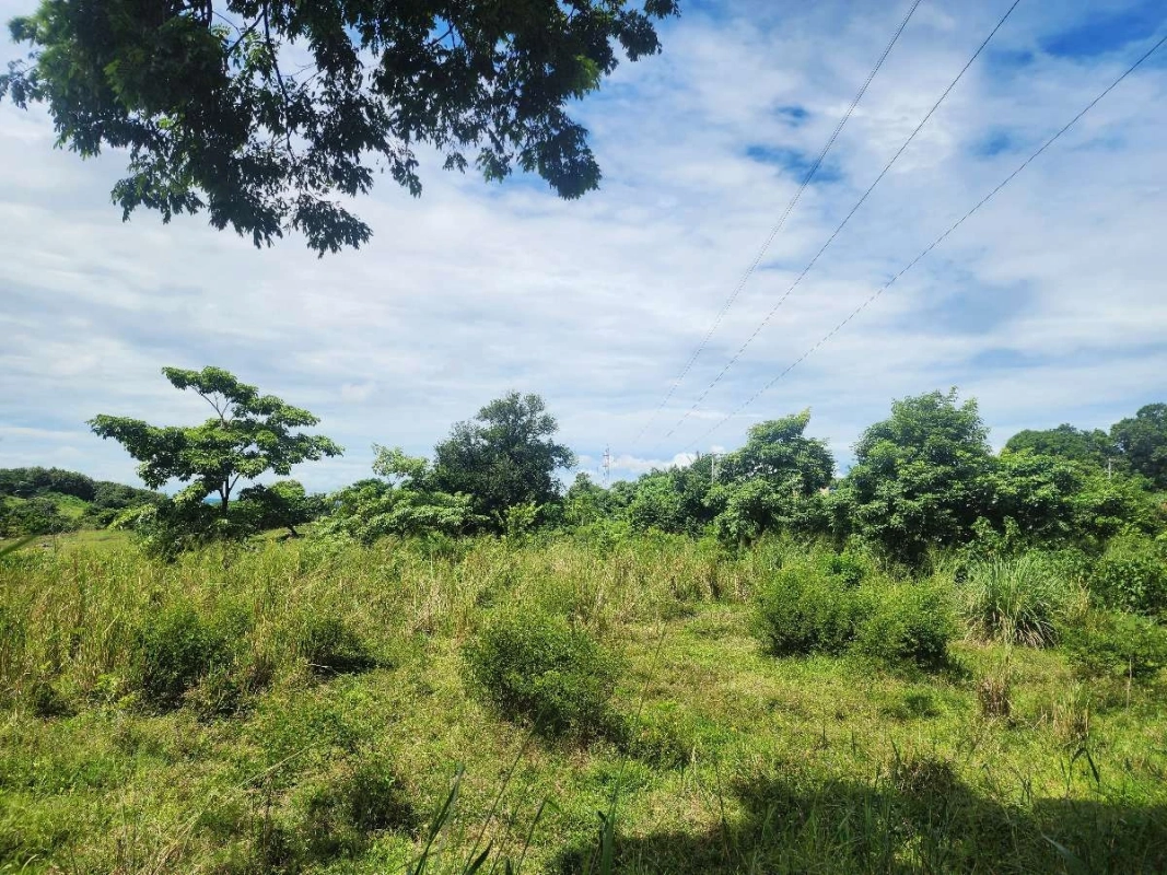 Terreno Venta | KM 61.5 | Escuintla