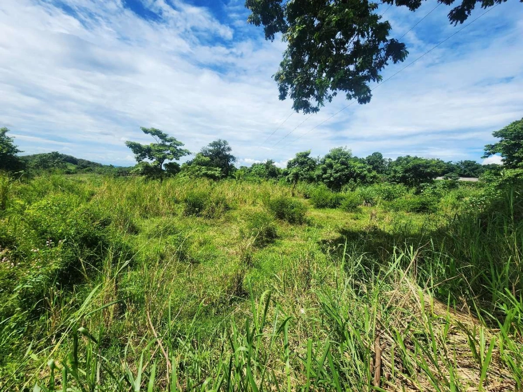 Terreno Venta | KM 61.5 | Escuintla