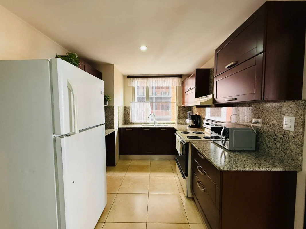 ALQUILER DE AMPLIO Y CÉNTRICO APARTAMENTO – ARIA, ZONA 10