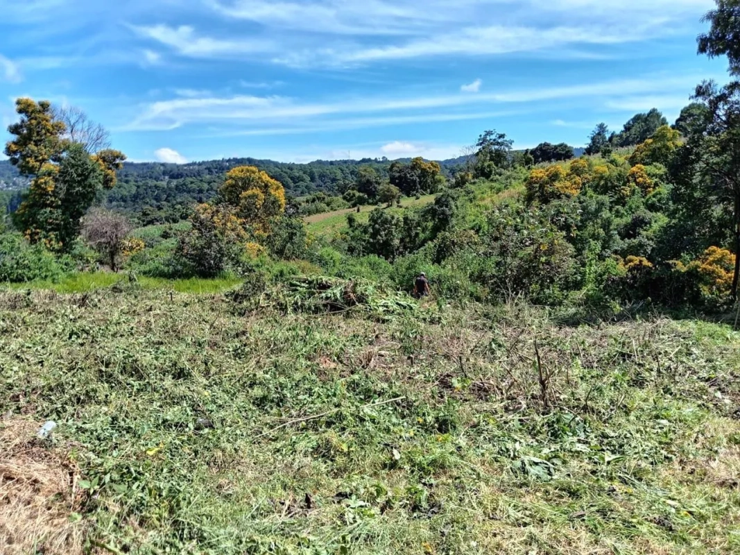 TERRENO EN VENTA – GRANJAS VILLA ALICIA, KM 32.9 SANTIAGO SACATEPÉQUEZ